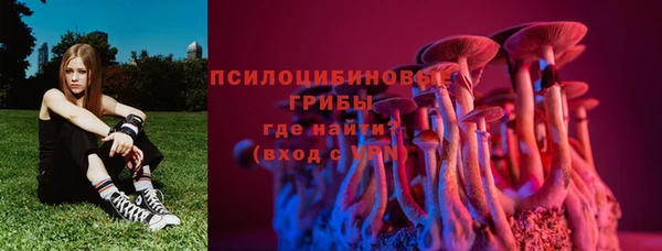 молекула духа Зеленокумск
