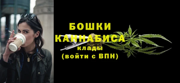 молекула духа Зеленокумск