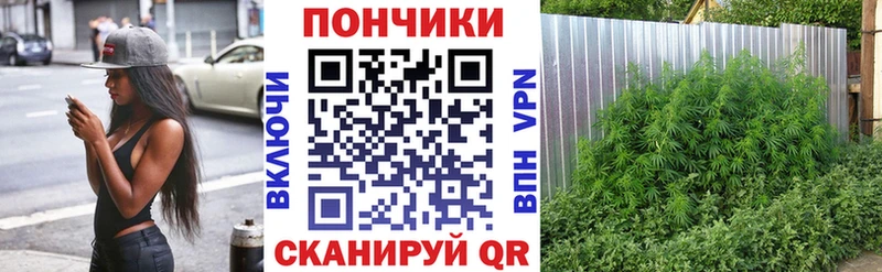 площадка клад Сковородино Каннабис конопля